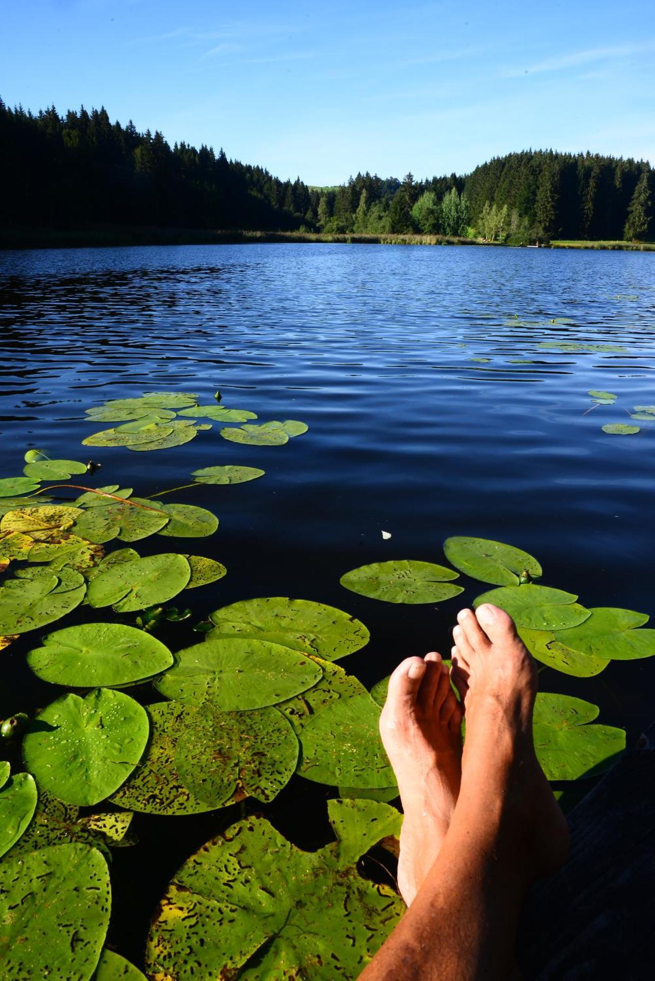 Hintere Schoene Rieden Exteriör bild